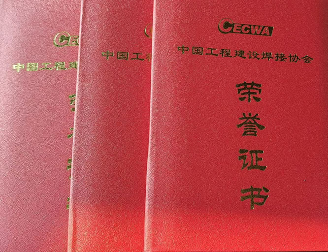 QIWT国焊培荣获2025年度中国工程建设焊接协会团体标准“先进个人